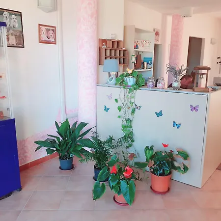 Отель Bena E Traes 3*